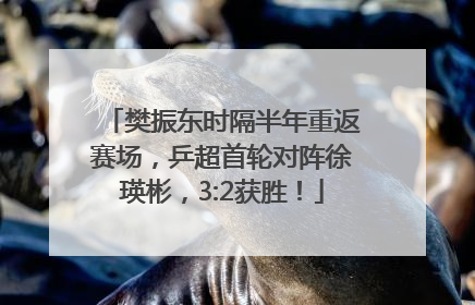 樊振东时隔半年重返赛场，乒超首轮对阵徐瑛彬，3:2获胜！