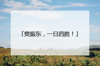 樊振东，一日四胜！