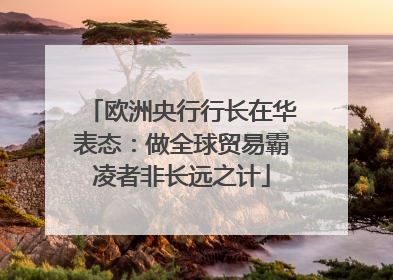 欧洲央行行长在华表态：做全球贸易霸凌者非长远之计