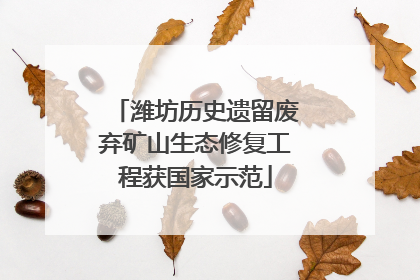 潍坊历史遗留废弃矿山生态修复工程获国家示范