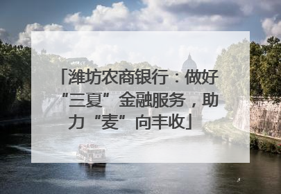 潍坊农商银行：做好“三夏”金融服务，助力“麦”向丰收