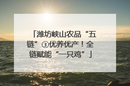 潍坊峡山农品“五链”③优养优产！全链赋能“一只鸡”