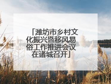 潍坊市乡村文化振兴暨移风易俗工作推进会议在诸城召开