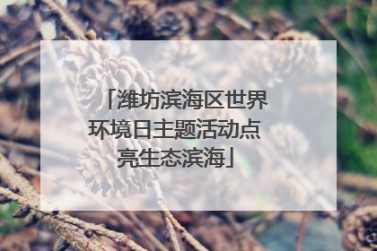 潍坊滨海区世界环境日主题活动点亮生态滨海