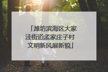 潍坊滨海区大家洼街道孟家庄子村文明新风展新貌