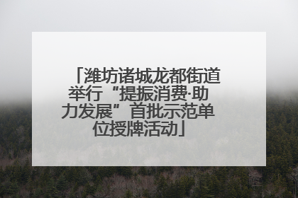 潍坊诸城龙都街道举行“提振消费·助力发展”首批示范单位授牌活动