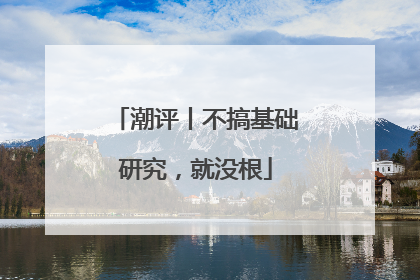 潮评丨不搞基础研究，就没根