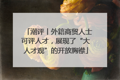 潮评丨外籍商贸人士可评人才，展现了“大人才观”的开放胸襟