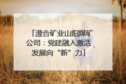 澄合矿业山阳煤矿公司：党建融入激活发展向“新”力