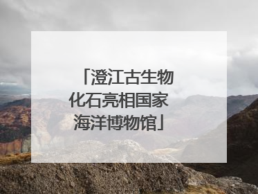 澄江古生物化石亮相国家海洋博物馆