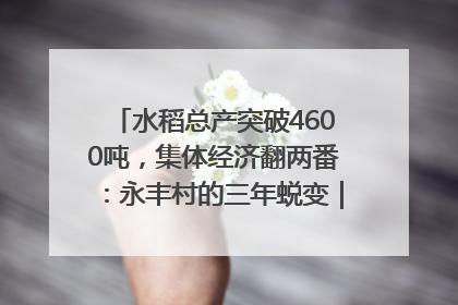 水稻总产突破4600吨，集体经济翻两番：永丰村的三年蜕变｜您牵挂的四川
