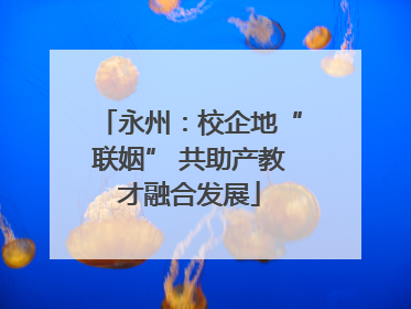永州：校企地“联姻” 共助产教才融合发展