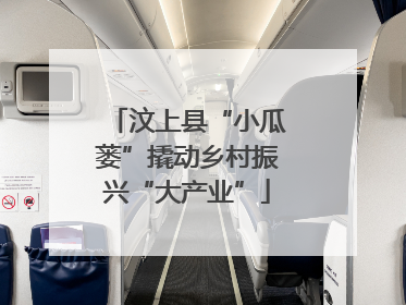 汶上县“小瓜蒌”撬动乡村振兴“大产业”