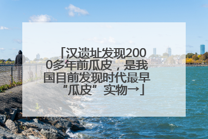 汉遗址发现2000多年前瓜皮，是我国目前发现时代最早“瓜皮”实物→