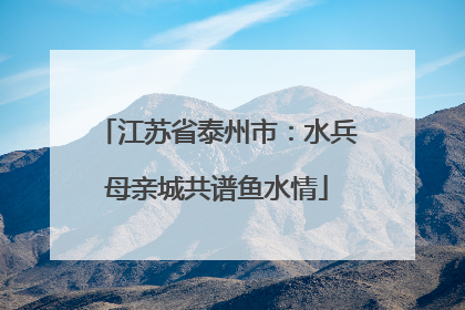 江苏省泰州市：水兵母亲城共谱鱼水情