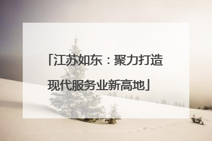 江苏如东：聚力打造现代服务业新高地