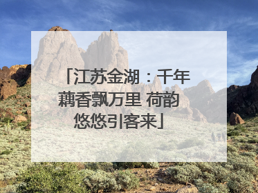 江苏金湖：千年藕香飘万里 荷韵悠悠引客来