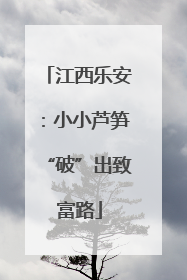 江西乐安：小小芦笋“破”出致富路