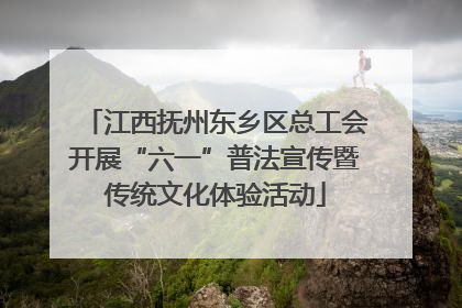 江西抚州东乡区总工会开展“六一”普法宣传暨传统文化体验活动