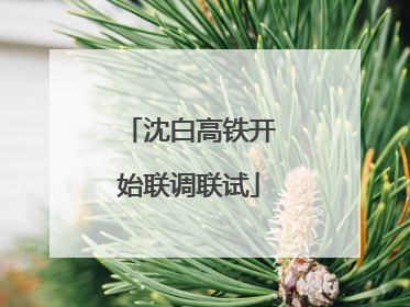 沈白高铁开始联调联试