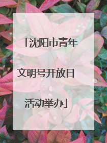 沈阳市青年文明号开放日活动举办