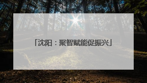 沈阳：聚智赋能促振兴