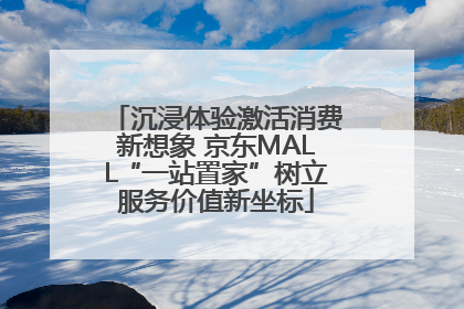 沉浸体验激活消费新想象 京东MALL“一站置家”树立服务价值新坐标