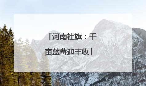 河南社旗：千亩蓝莓迎丰收