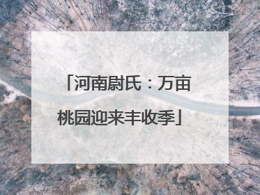 河南尉氏：万亩桃园迎来丰收季