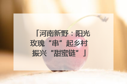 河南新野：阳光玫瑰“串”起乡村振兴“甜蜜链”