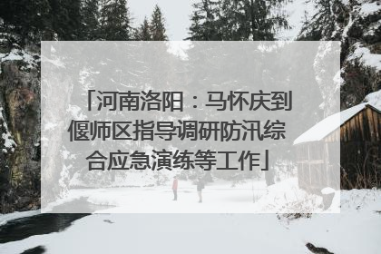 河南洛阳：马怀庆到偃师区指导调研防汛综合应急演练等工作