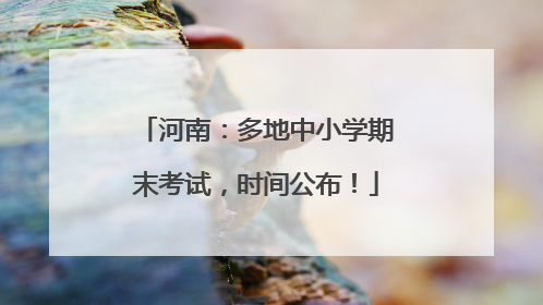 河南：多地中小学期末考试，时间公布！