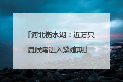 河北衡水湖：近万只夏候鸟进入繁殖期