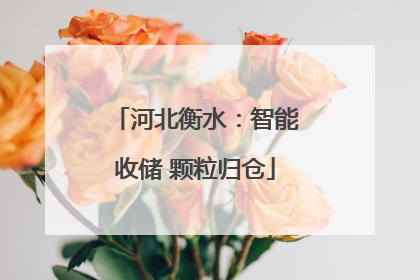河北衡水：智能收储 颗粒归仓
