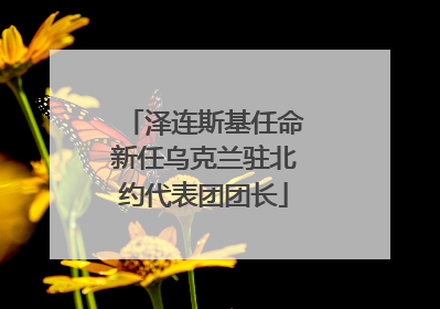 泽连斯基任命新任乌克兰驻北约代表团团长