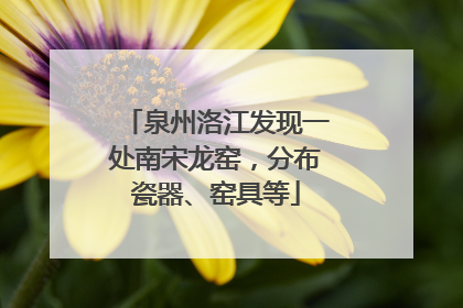 泉州洛江发现一处南宋龙窑，分布瓷器、窑具等