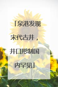 泉港发现宋代古井，井口形制国内罕见