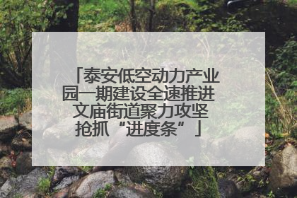泰安低空动力产业园一期建设全速推进 文庙街道聚力攻坚抢抓“进度条”