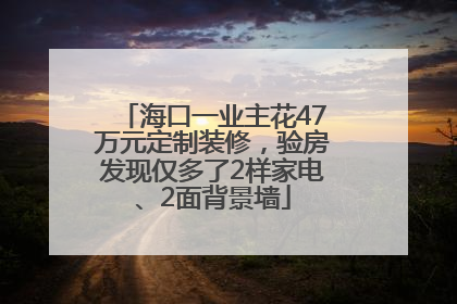 海口一业主花47万元定制装修，验房发现仅多了2样家电、2面背景墙