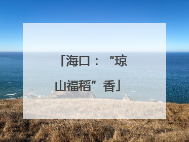 海口：“琼山福稻”香