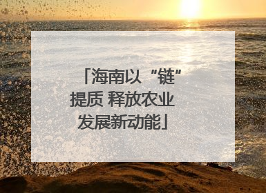 海南以“链”提质 释放农业发展新动能