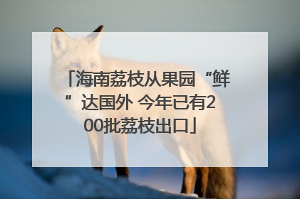海南荔枝从果园“鲜”达国外 今年已有200批荔枝出口