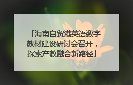 海南自贸港英语数字教材建设研讨会召开，探索产教融合新路径