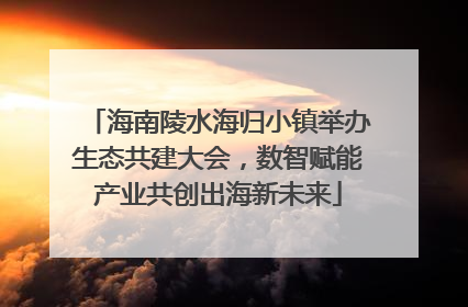 海南陵水海归小镇举办生态共建大会，数智赋能产业共创出海新未来