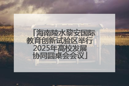 海南陵水黎安国际教育创新试验区举行2025年高校发展协同圆桌会会议