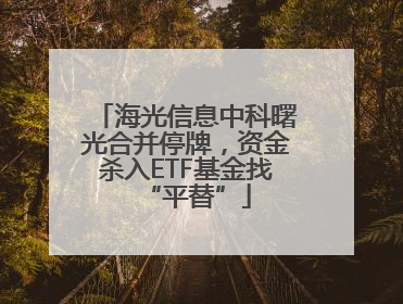 海光信息中科曙光合并停牌，资金杀入ETF基金找“平替”