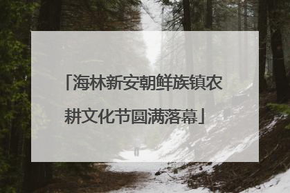 海林新安朝鲜族镇农耕文化节圆满落幕