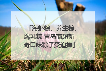 海虾粽、养生粽、腐乳粽 青岛商超新奇口味粽子受追捧