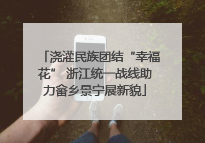 浇灌民族团结“幸福花” 浙江统一战线助力畲乡景宁展新貌