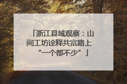 浙江县域观察：山间工坊诠释共富路上“一个都不少”